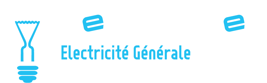 Logo Lenny Elec